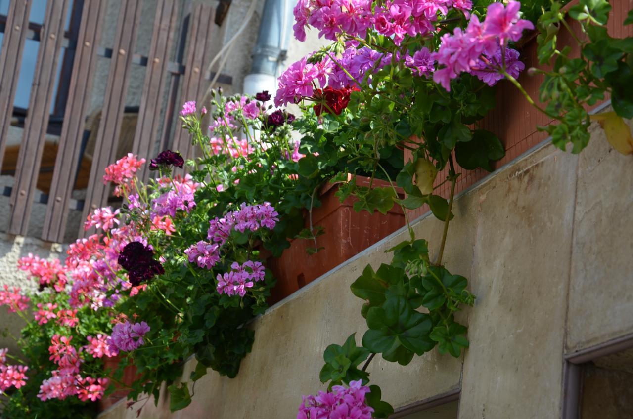 Villa Rosi Sozopol Bagian luar foto